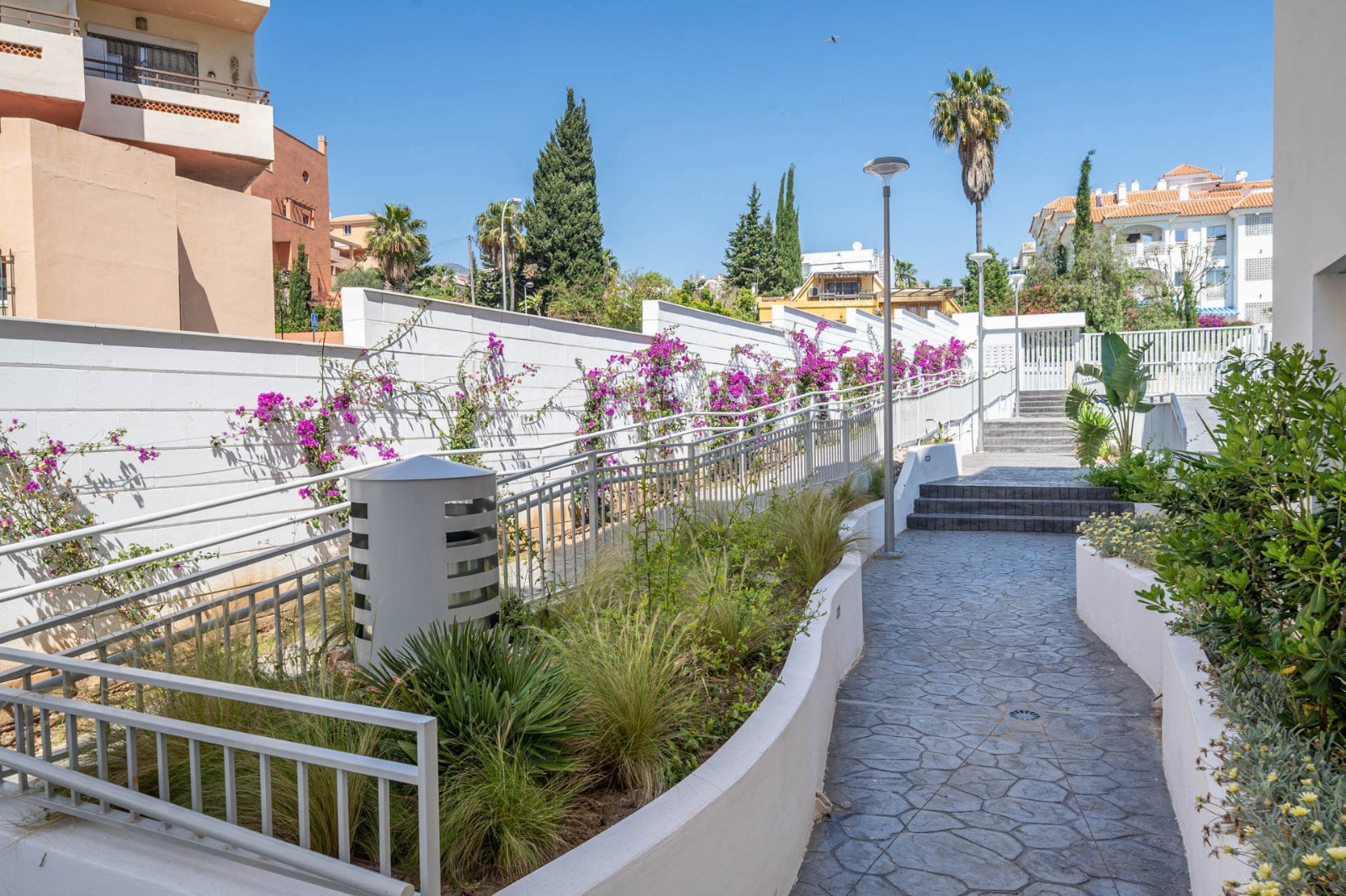 WhatsApp Image 2026-01-27 at 12.11.03 (1)