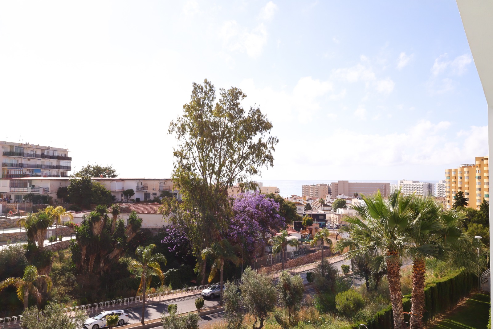 WhatsApp Image 2026-01-27 at 12.11.04