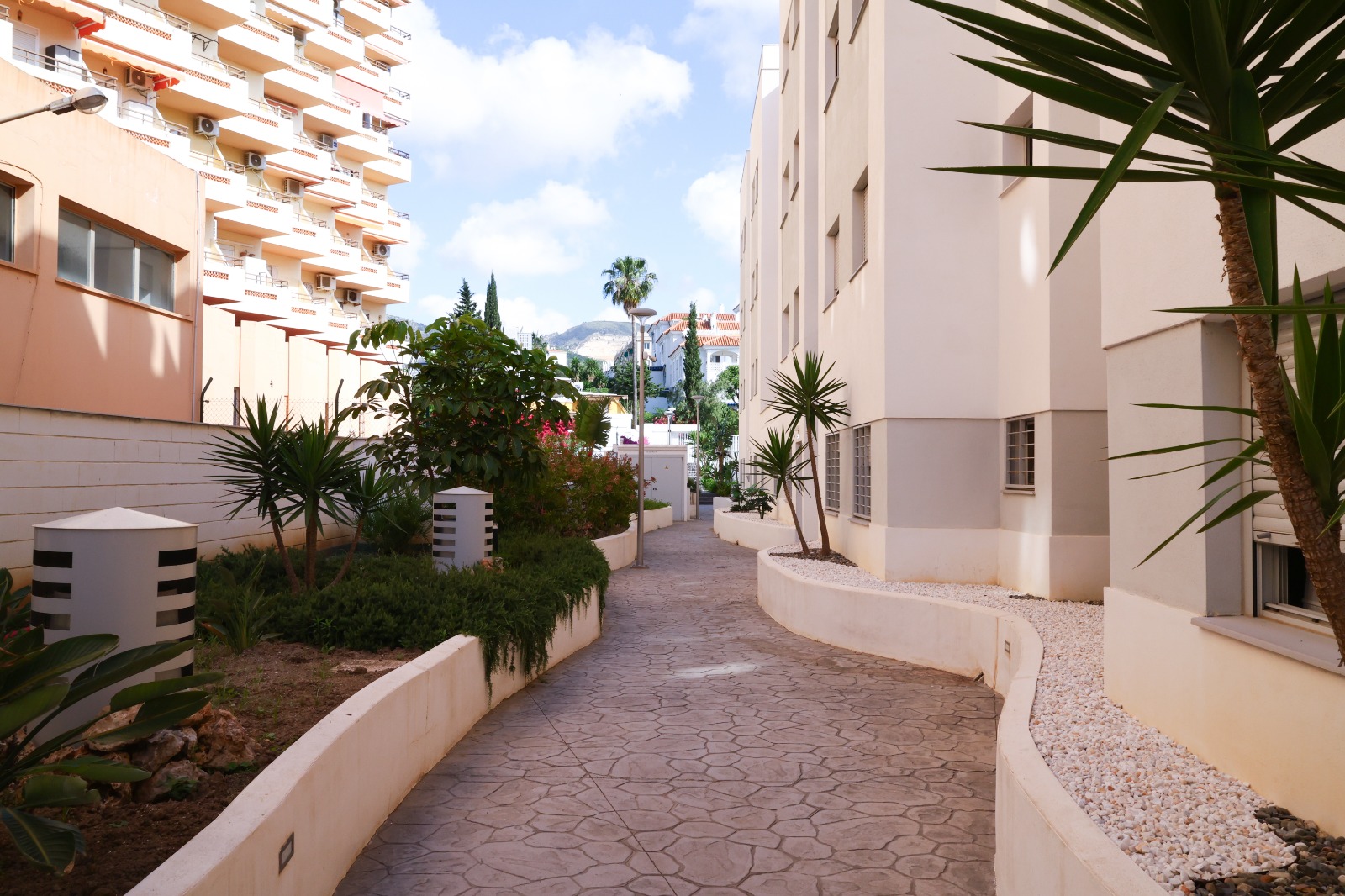 WhatsApp Image 2026-01-27 at 12.11.05 (1)