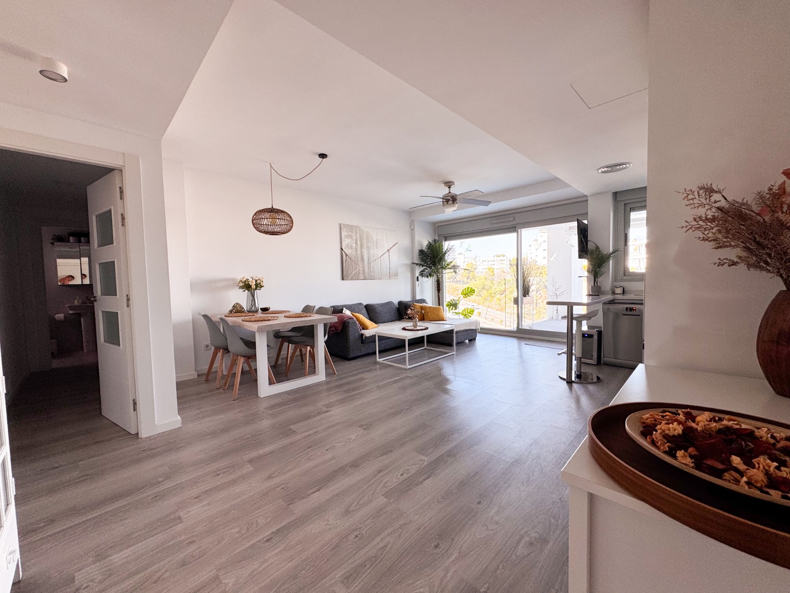 WhatsApp Image 2026-01-27 at 12.11.08