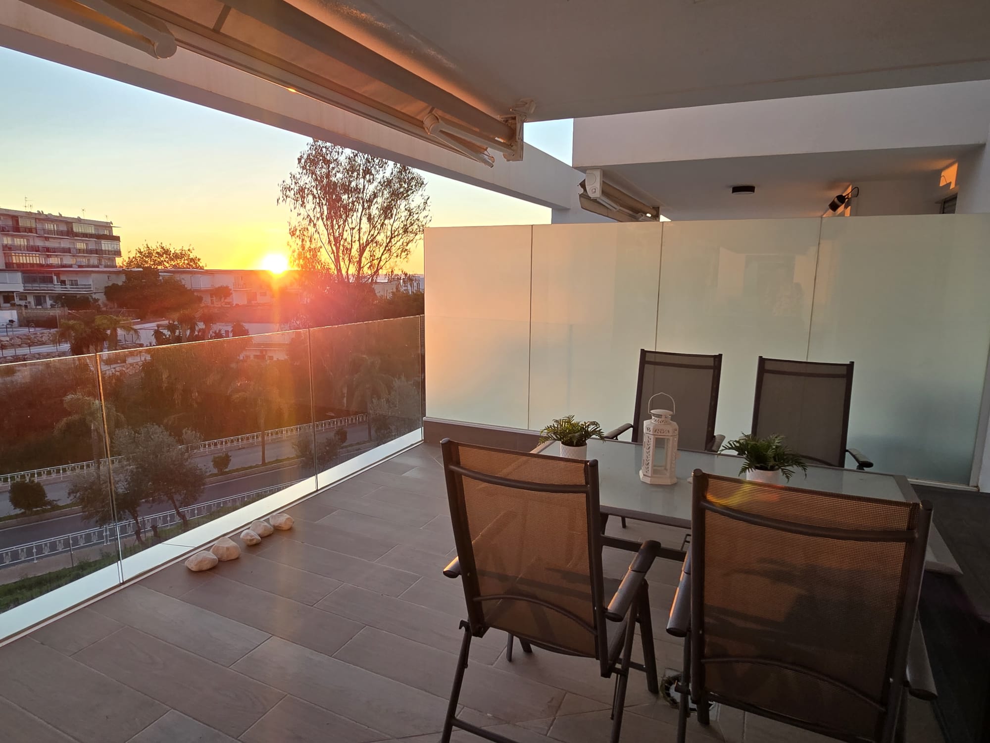 WhatsApp Image 2026-02-16 at 10.52.37